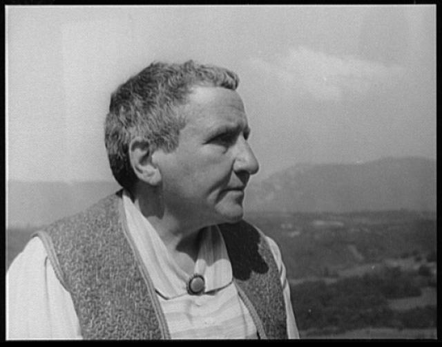 Portrait of Gertrude Stein, Biliguin, 1934 June 13 - Van Vechten, Carl, 1880-1964, photographer http://hdl.loc.gov/loc.pnp/van.5a52655